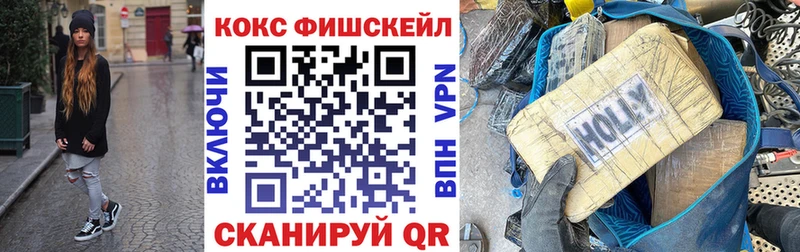 Купить  Урюпинск  Cocaine FishScale 