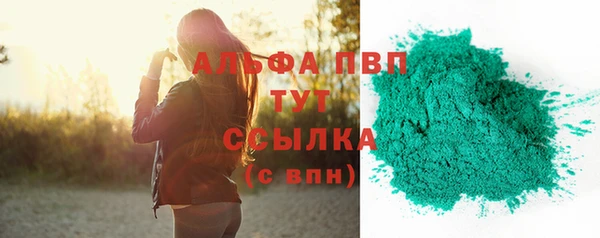 шишки Магас