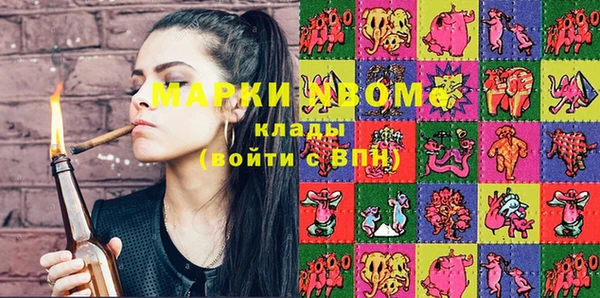 шишки Магас