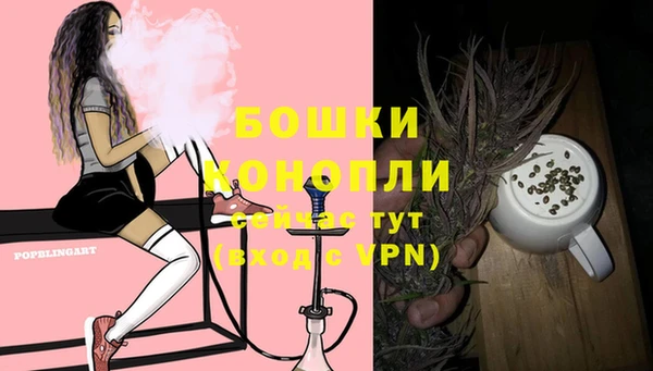 Альфа ПВП Мегион